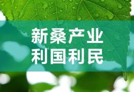 新桑產(chǎn)業(yè)，利國利民